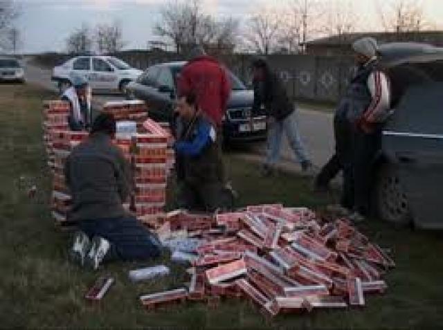 Contrabandiştii de ţigări le râd în nas procurorilor DIICOT