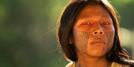 O șansă istorică pentru pădurea amazoniană
