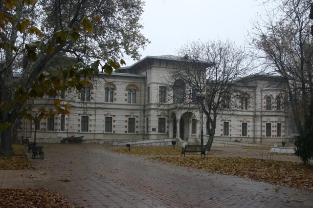 Mega-proiectul Muzeului de Arte Vizuale nu se va mai construi în Parcul Rizer