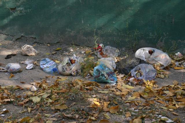 Spiritul civic al gălăţenilor a fost învins de teama de căpuşe