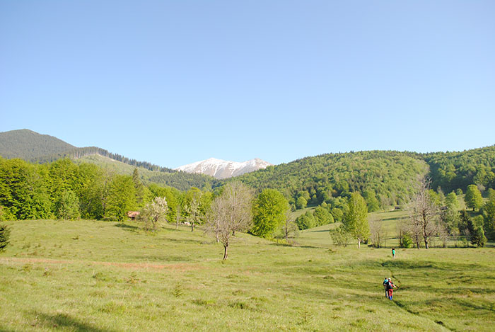 Parcul Național Retezat - o experiență de neuitat