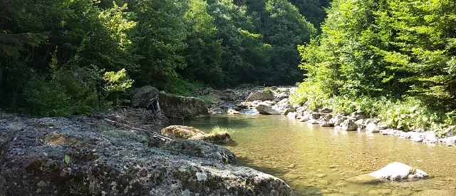 Gălățenii pot fenta zilele fierbinți în Rezervația Naturală Cheile Tișiței