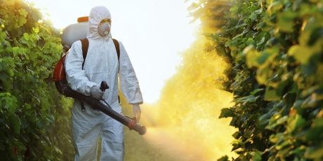 Monsanto dăunează grav sănătății